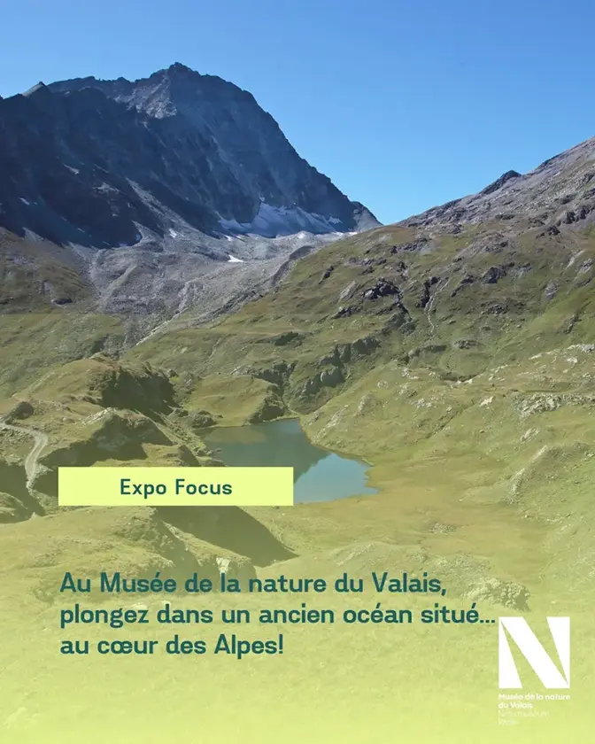 Exposition Océan au sommet